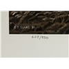 Image 5 : Terry A. Issac 1958-2019 US Signed Litho 628/950