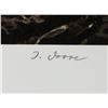 Image 8 : Terry A. Issac 1958-2019 US Signed Litho 628/950