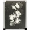 Image 2 : Lee Miller American Modernist Photogram on Paper