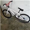 Image 3 : WHITE NO NAME BIKE