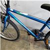 Image 2 : BLUE NORCO MINI MOUNTAINEER BIKE