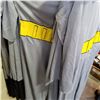 Image 2 : LOT OF BATMAN COSTUMES
