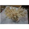 Image 2 : CORAL ON GLASS STAND