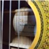 Image 2 : TAKAMINE ACOUSTIC GUITAR