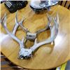 Image 1 : 2 PAIRS DEER ANTLERS