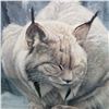 Image 4 : "DOZING LYNX" BY ROBERT BATEMAN #24890