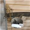 Image 1 : BOX LOT OF VINTAGE BARBER ACCESSORIES