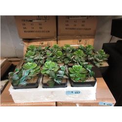 4 Cases of Six 7" Artificial Plants