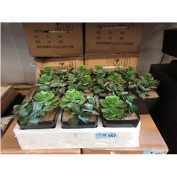 4 Cases of Six 7" Artificial Plants