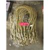 Image 1 : 3 Dozen New Bungee Cords