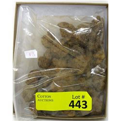 14 Oz. Bag of Coprolite (Fossilized Dino Poop)