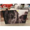 Image 1 : New Acrylic Horse Wall Art - 47" x 31"