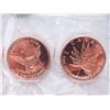 Image 2 : 10 One Oz .999 Fine Copper Canada/USA Rounds
