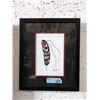 Image 1 : Richard Shorty Framed Print - Eagle Feather