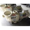 Image 1 : New Pentair 1 1/2hp SuperFlo Pool Pump