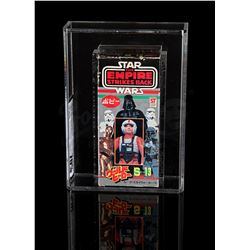 STAR WARS: THE EMPIRE STRIKES BACK - Popy Luke Skywalker X-Wing Pilot UKG 70