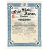 Image 1 : New State Areas, Ltd., 1925 Issued Stock Certificate