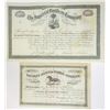 Image 1 : South Carolina Issued Stock Certificate Pair, 1884-1899