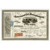 Image 1 : Government Oil and Mining Co., 1865 I/U Stock Certificate.