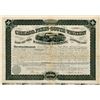Image 1 : Chicago, Pekin and South-Western Railroad Co., 1876 Issued Bond.