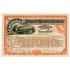 Image 1 : Florida Railway & Navigation Co. 1987. I/U Stock Certificate.