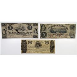 Trenton, NJ. Trenton Banking Co. 1846-62 Obsolete Banknote Trio.