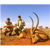 Image 2 : Legadema Safaris - South Africa