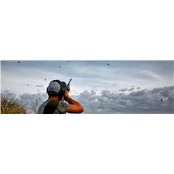 Argentina Big Hunting - Bird Hunt