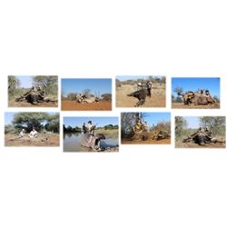 Diekie Muller Hunting Safaris - South Africa