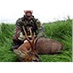 International Adventures Unlimited - Roe Deer Scotland