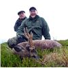 Image 2 : International Adventures Unlimited - Roe Deer Scotland