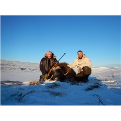 Greenland Musk Ox Hunt