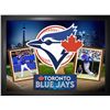 Image 1 : Toronto Blue Jays (69-431)