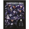 Image 1 : Toronto Maple Leaf collage (73-971)
