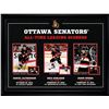 Image 1 : Ottawa Senators (73-964)