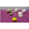 Image 2 : Qty 6 Natural Seashells - Nautilus, Conch, Turban, etc