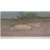 Image 3 : Framed Original Painting - Desertscape w/ Birds, Signed by Raul Gutierrez w/ Bio 21" x 15"
