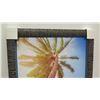 Image 2 : "The Light" by Shane Myers, Photographic Image on Canvas 31 5/8" x 45 3/4", Cottonwood Frame