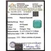 Image 2 : IGITL Cert. Natural Emerald 49.02 Ct - Zambia
