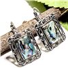Image 1 : ABALONE SHELL GEMSTONE SILVER PLATED LEVER BACK EARRING 1.5"