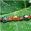 Image 3 : BALTIC AMBER GEMSTONE SILVER PLATED BRACELET