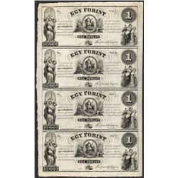 Uncut Sheet of 1800's $1 Ket Forint Obsolete Notes
