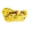 Image 1 : 10.8 Gram Gold Nugget