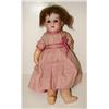 Image 1 : ANTIQUE GERMAN BISQUE DOLL