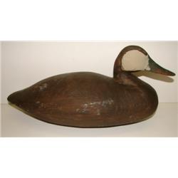 EASTERN SHORE, VIRGINIA BLACK DUCK DECOY