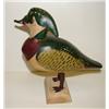 Image 2 : BEN ANNIS STANDING WOOD DUCK DECOY