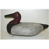 Image 1 : CANVASBACK DECOY