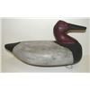 Image 2 : CANVASBACK DECOY