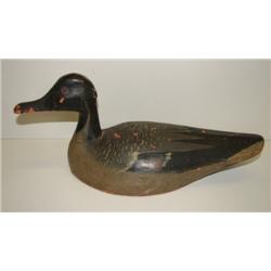 CHINCOTEAGUE, VIRGINIA PINTAIL DRAKE DECOY