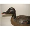 Image 2 : CHINCOTEAGUE, VIRGINIA PINTAIL DRAKE DECOY